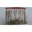 Whiting 100 Saddle Hackle Pack in Medium Dun